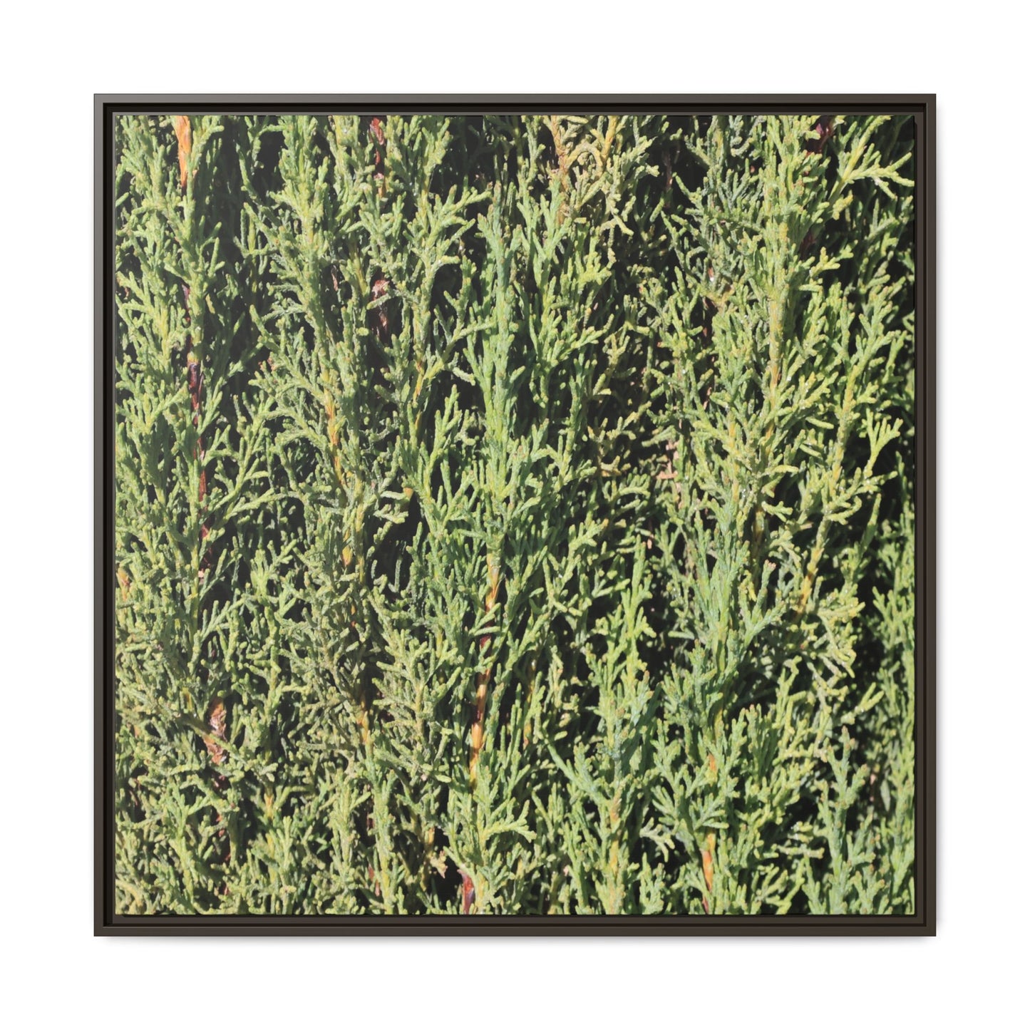 Emerald Labyrinth - Unique Stretched Canvas Wall Art - Art By Earth