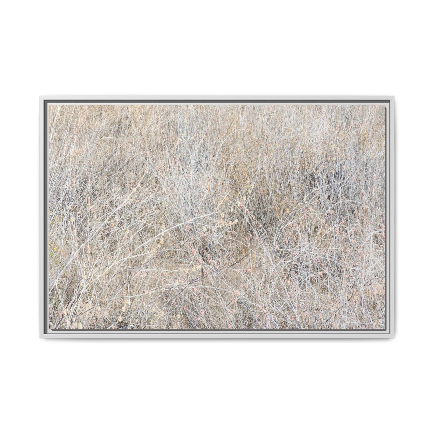 Whispers of Dry Grass - Unique Stretched Canvas Wall Art - Art By Earth