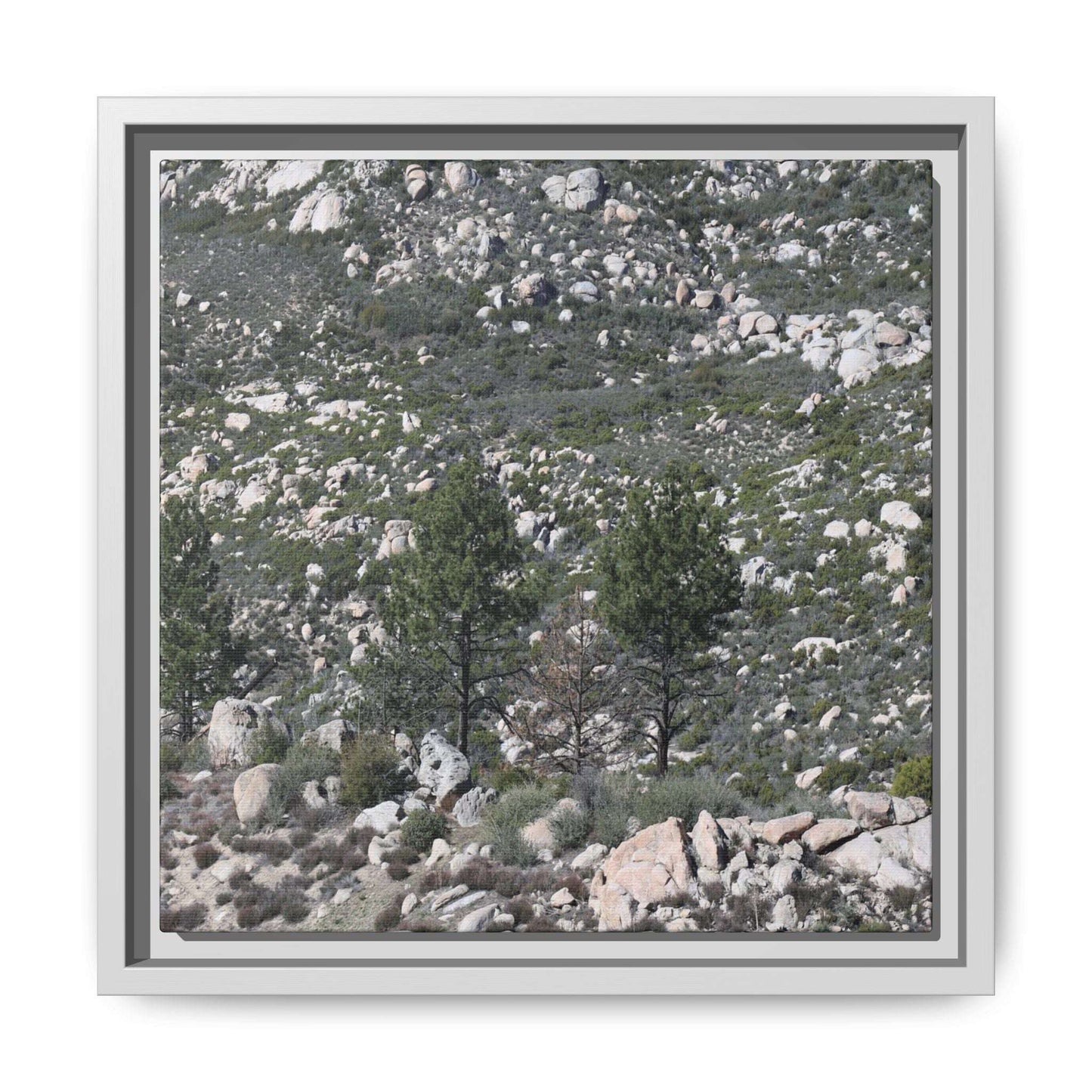 Rocky Hillside with Pine Trees - Unique Stretched Canvas Wall Art - Art By Earth