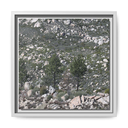 Rocky Hillside with Pine Trees - Unique Stretched Canvas Wall Art - Art By Earth