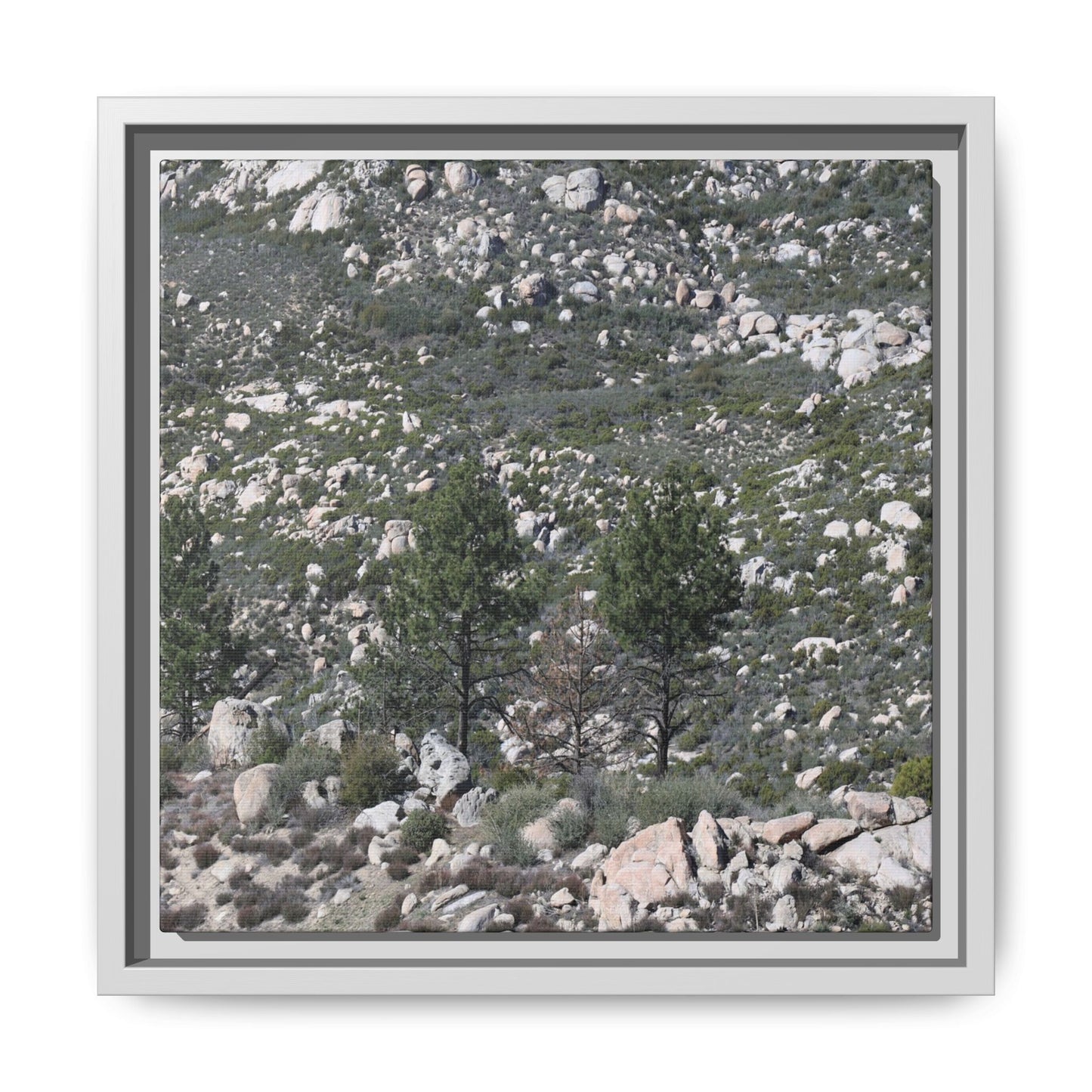 Rocky Hillside with Pine Trees - Unique Stretched Canvas Wall Art - Art By Earth