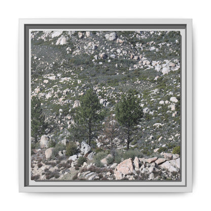 Rocky Hillside with Pine Trees - Unique Stretched Canvas Wall Art - Art By Earth