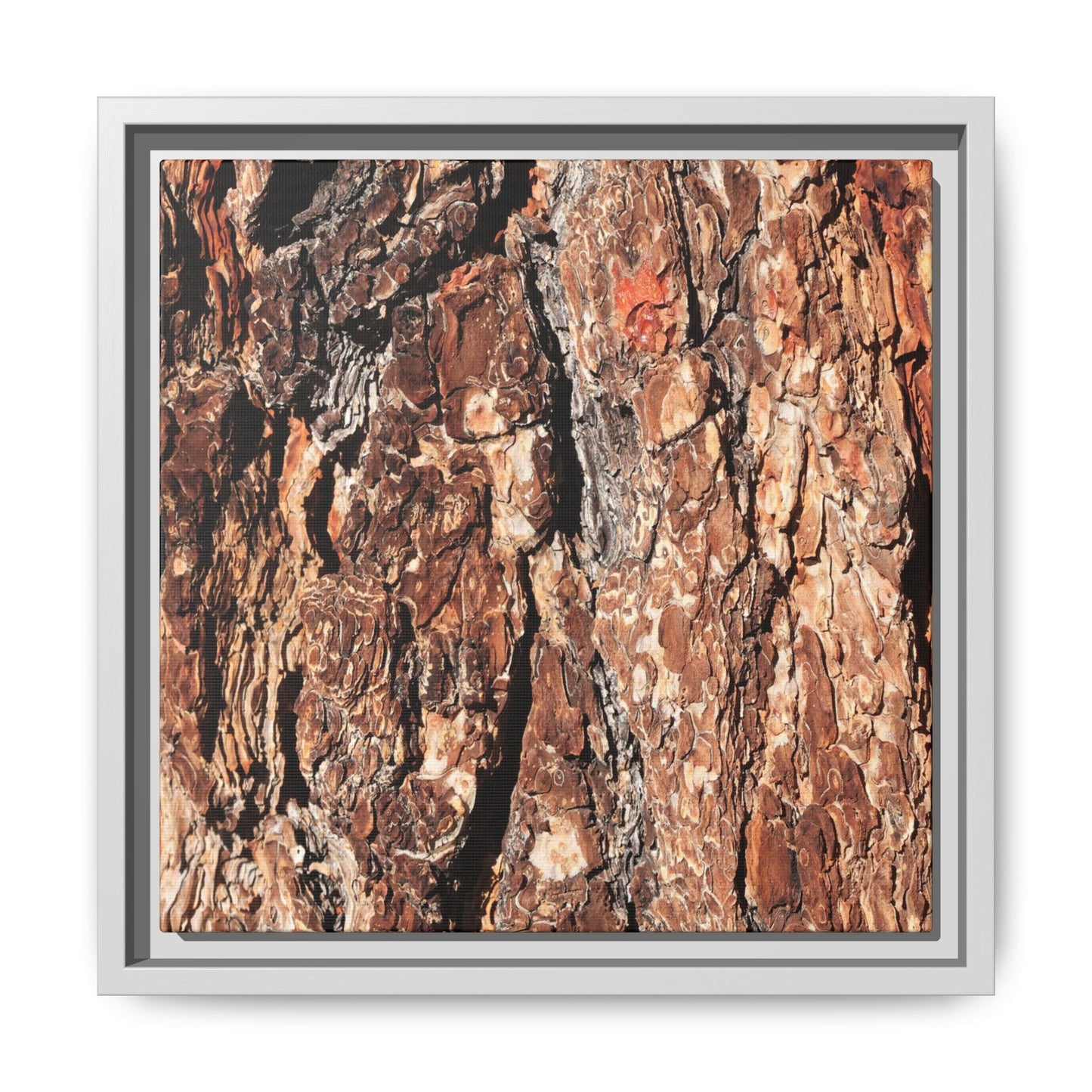 Nature's Rugged Canvas - Unique Stretched Canvas Wall Art
