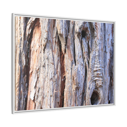 Nature's Grain - Unique Stretched Canvas Wall Art - Art By Earth