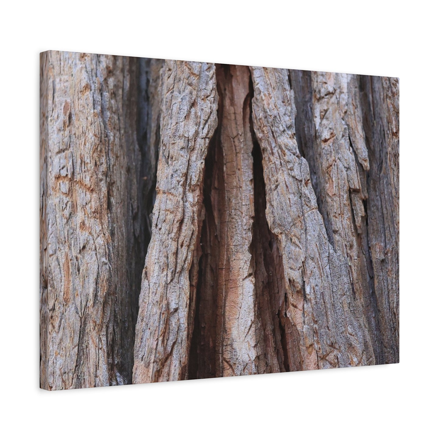 Fractured Skin of Time - Unique Frameless Canvas Wall Art - Art By Earth