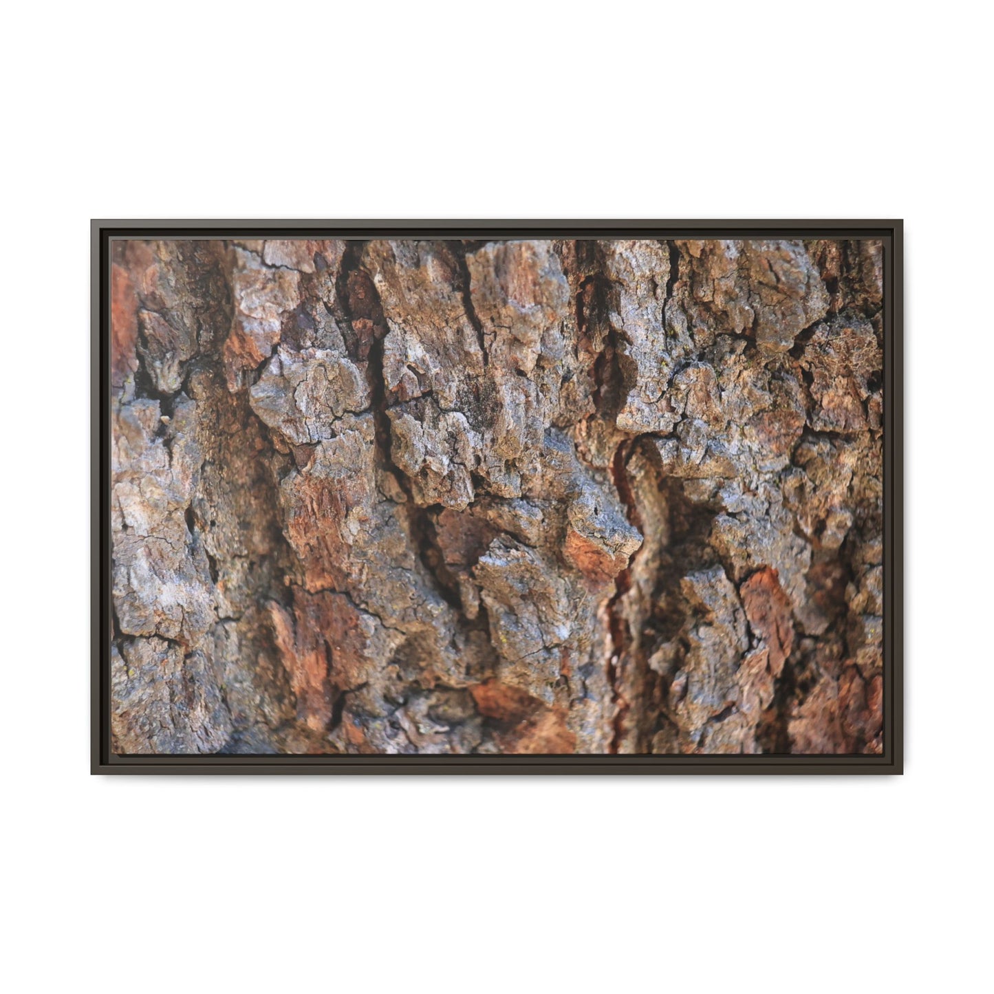 Craggy Textures - Unique Stretched Canvas Wall Art - Art By Earth