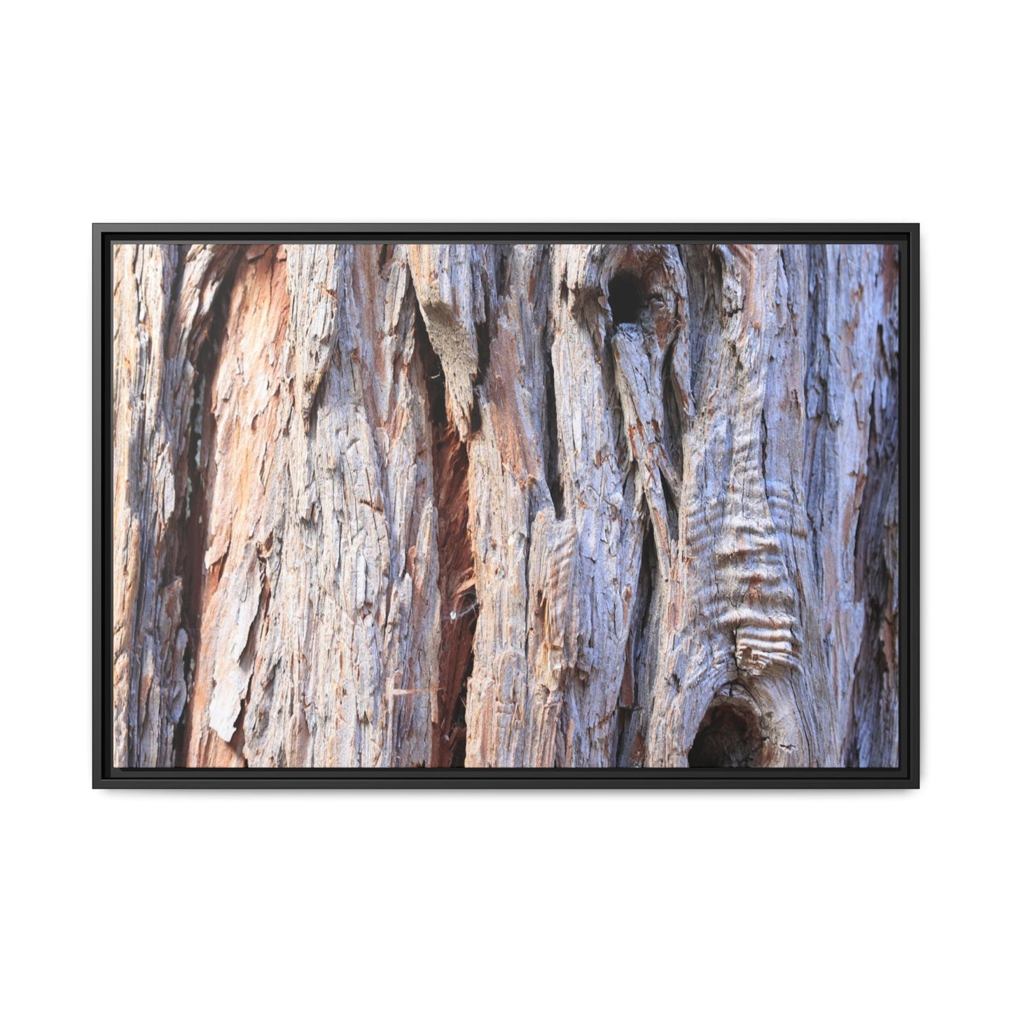 Nature's Grain - Unique Stretched Canvas Wall Art - Art By Earth