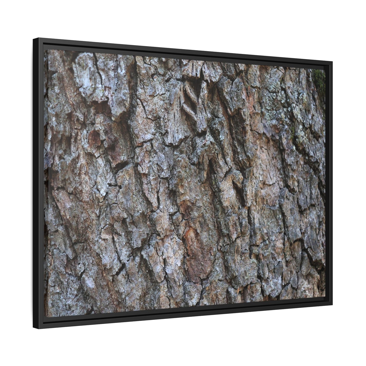 Woodland Skin - Unique Stretched Canvas Wall Art - Art By Earth