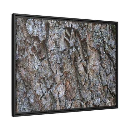 Woodland Skin - Unique Stretched Canvas Wall Art - Art By Earth
