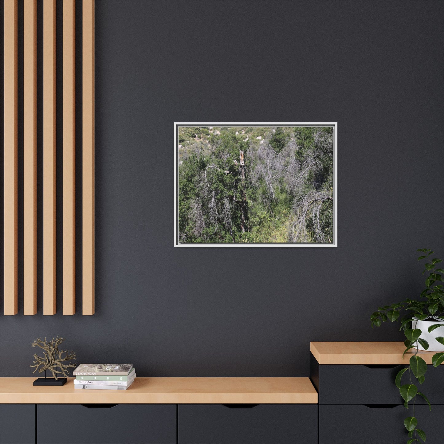 Forest Decline - Unique Stretched Canvas Wall Art