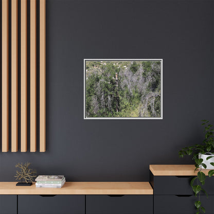 Forest Decline - Unique Stretched Canvas Wall Art