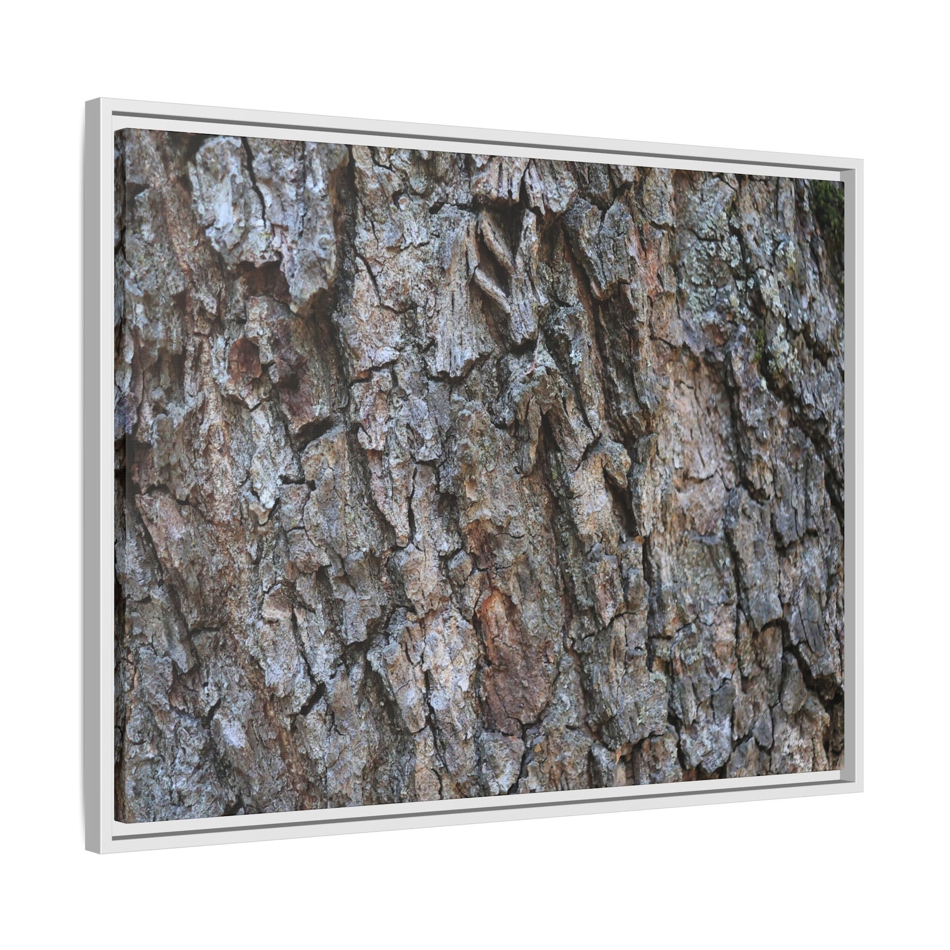 Woodland Skin - Unique Stretched Canvas Wall Art - Art By Earth