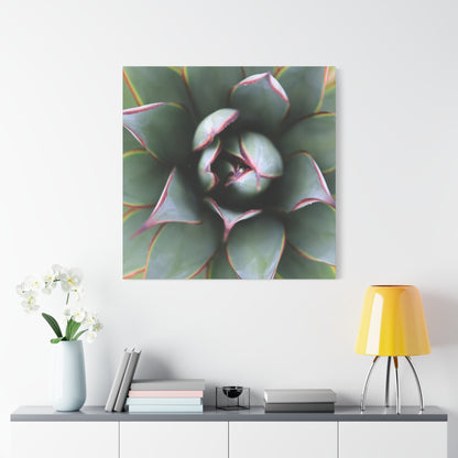 Emerald Spiral - Unique Frameless Canvas Wall Art - Art By Earth