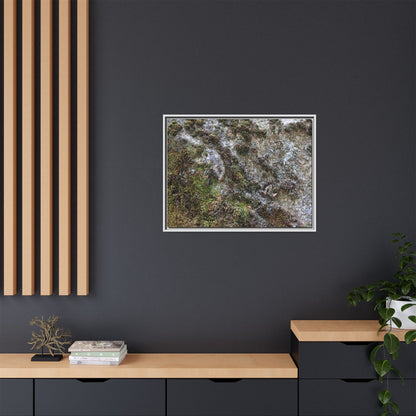 Mossy Whispers - Unique Stretched Canvas Wall Art - Art By Earth