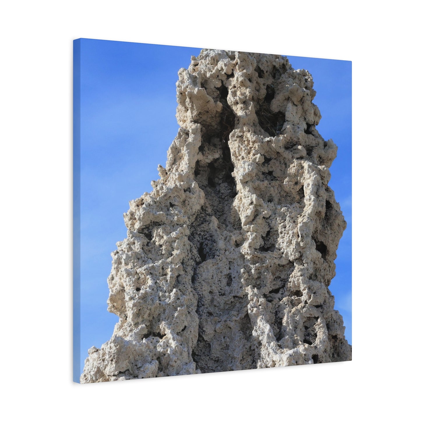 Calcified Whispers - Unique Frameless Canvas Wall Art