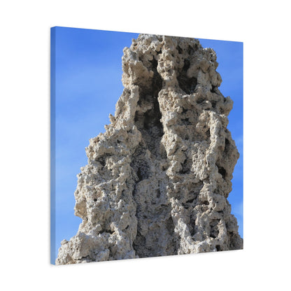 Calcified Whispers - Unique Frameless Canvas Wall Art