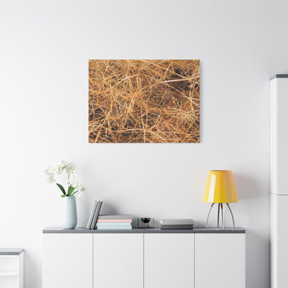 Dry Grass - Unique Frameless Canvas Wall Art - Art By Earth