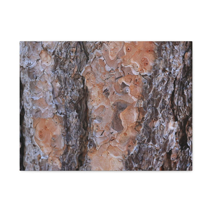 Terracotta Textures - Unique Frameless Canvas Wall Art - Art By Earth