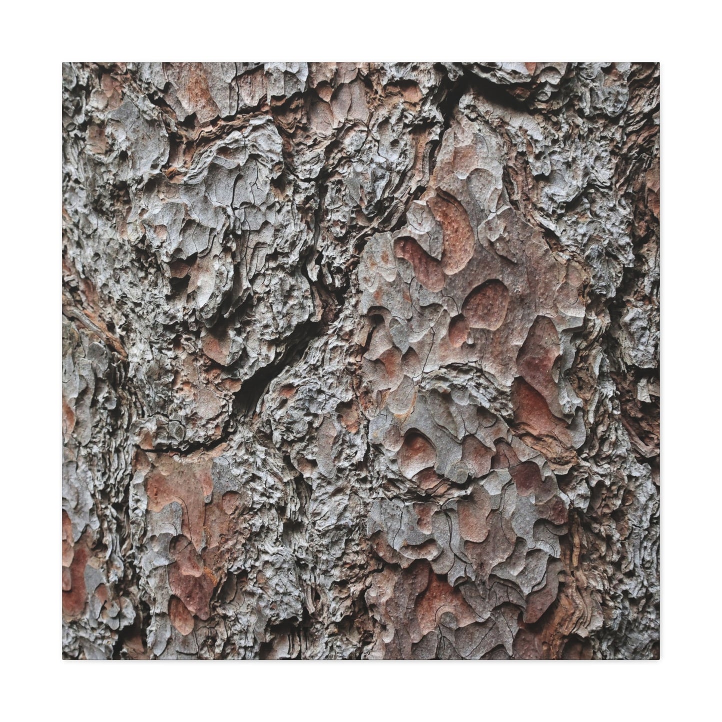 Textured Whispers of Bark - Unique Frameless Canvas Wall Art - Art By Earth