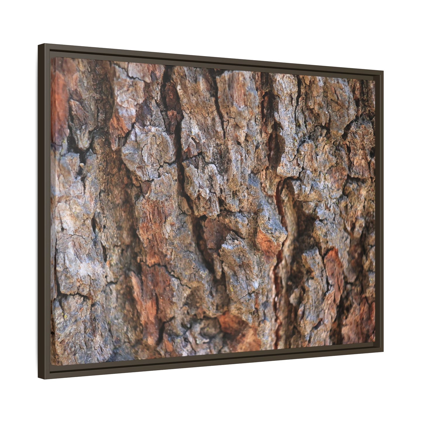 Craggy Textures - Unique Stretched Canvas Wall Art - Art By Earth