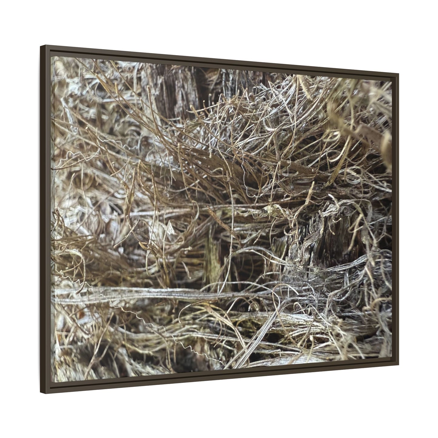 Tangled Whispers of Autumn - Unique Stretched Canvas Wall Art - Art By Earth