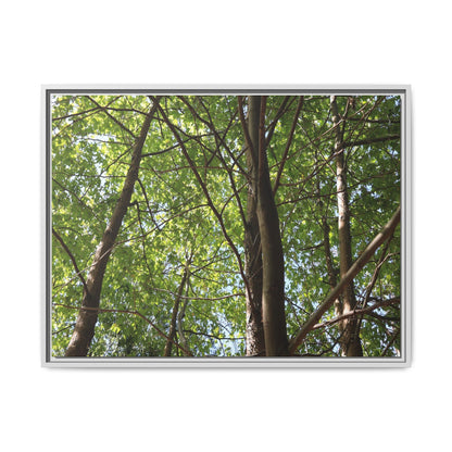 Forest Branches - Unique Stretched Canvas Wall Art
