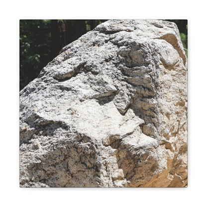 Stone of Solitude - Unique Frameless Canvas Wall Art - Art By Earth