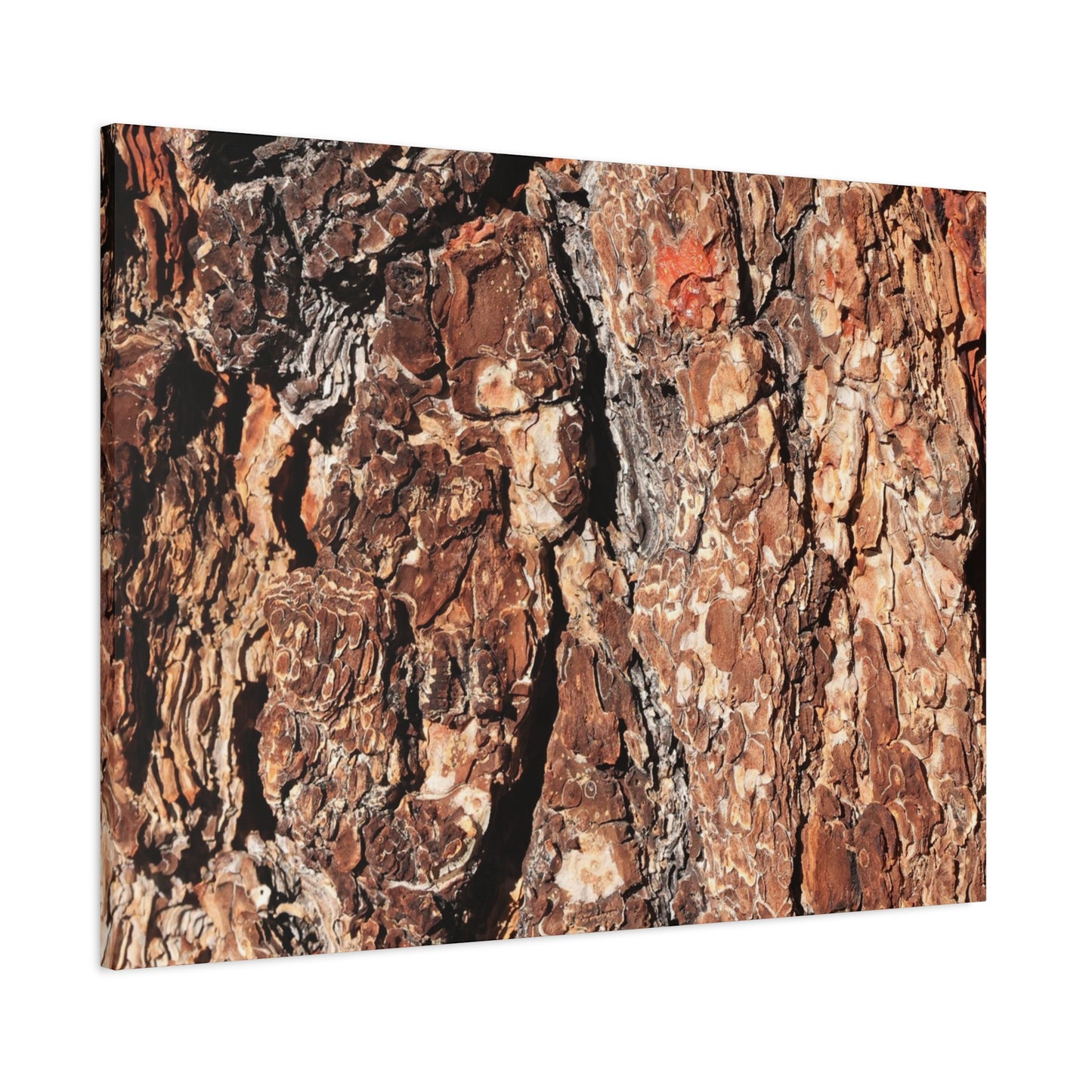 Russet Echoes - Unique Frameless Canvas Wall Art