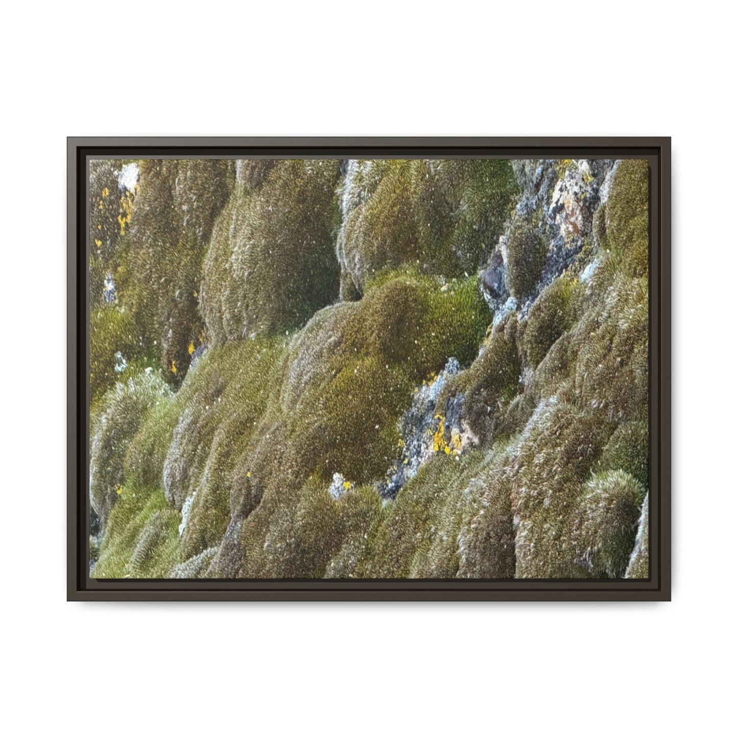 Moss Symphony - Unique Stretched Canvas Wall Art