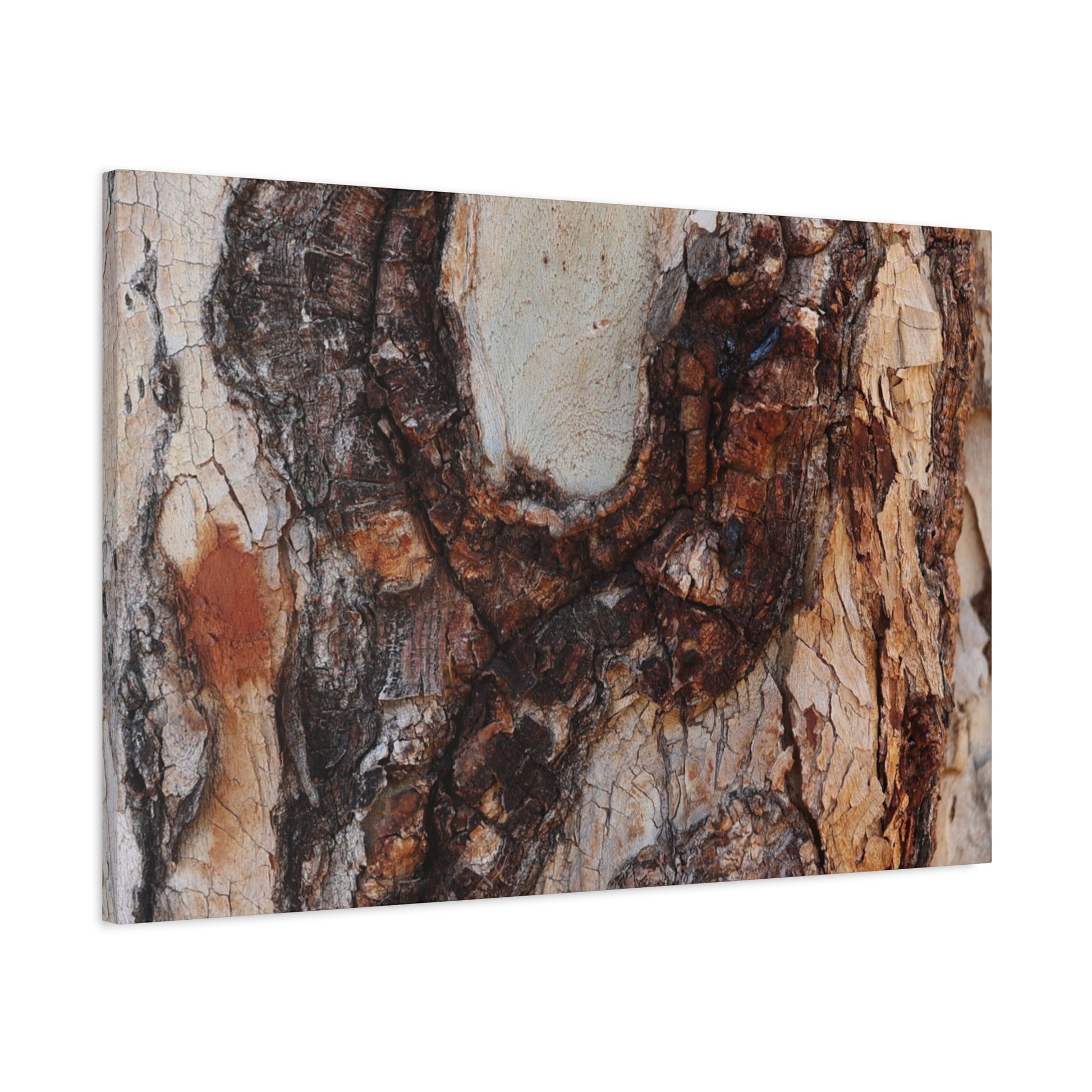 Arboreal Echoes - Unique Frameless Canvas Wall Art - Art By Earth