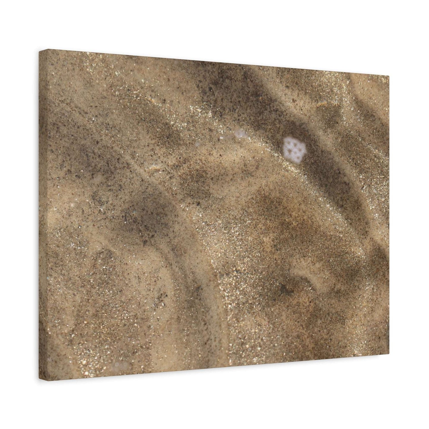 Sandy Shore Impressions - Unique Frameless Canvas Wall Art - Art By Earth