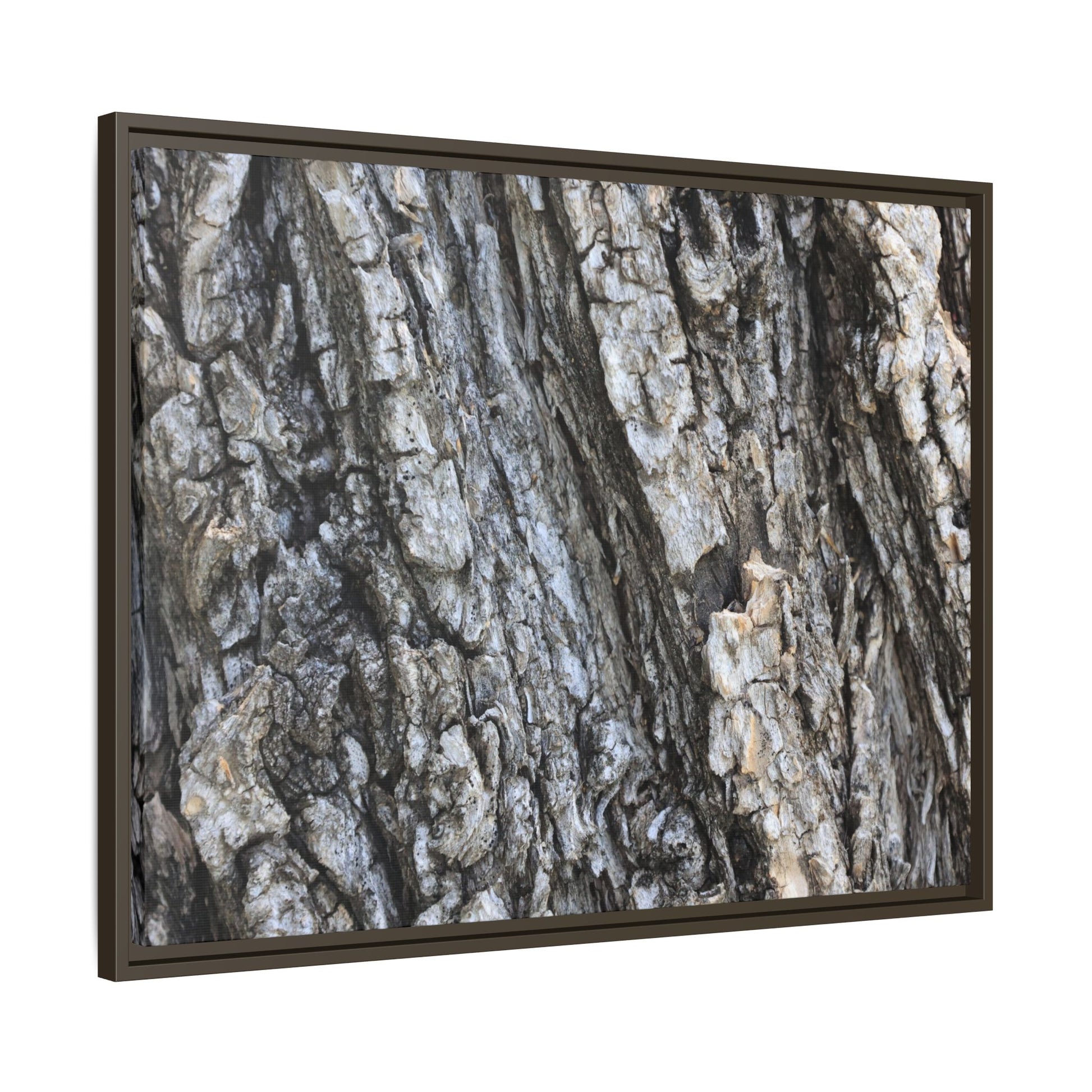 Twisted Textures - Unique Stretched Canvas Wall Art - Art By Earth