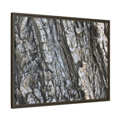 Twisted Textures - Unique Stretched Canvas Wall Art - Art By Earth