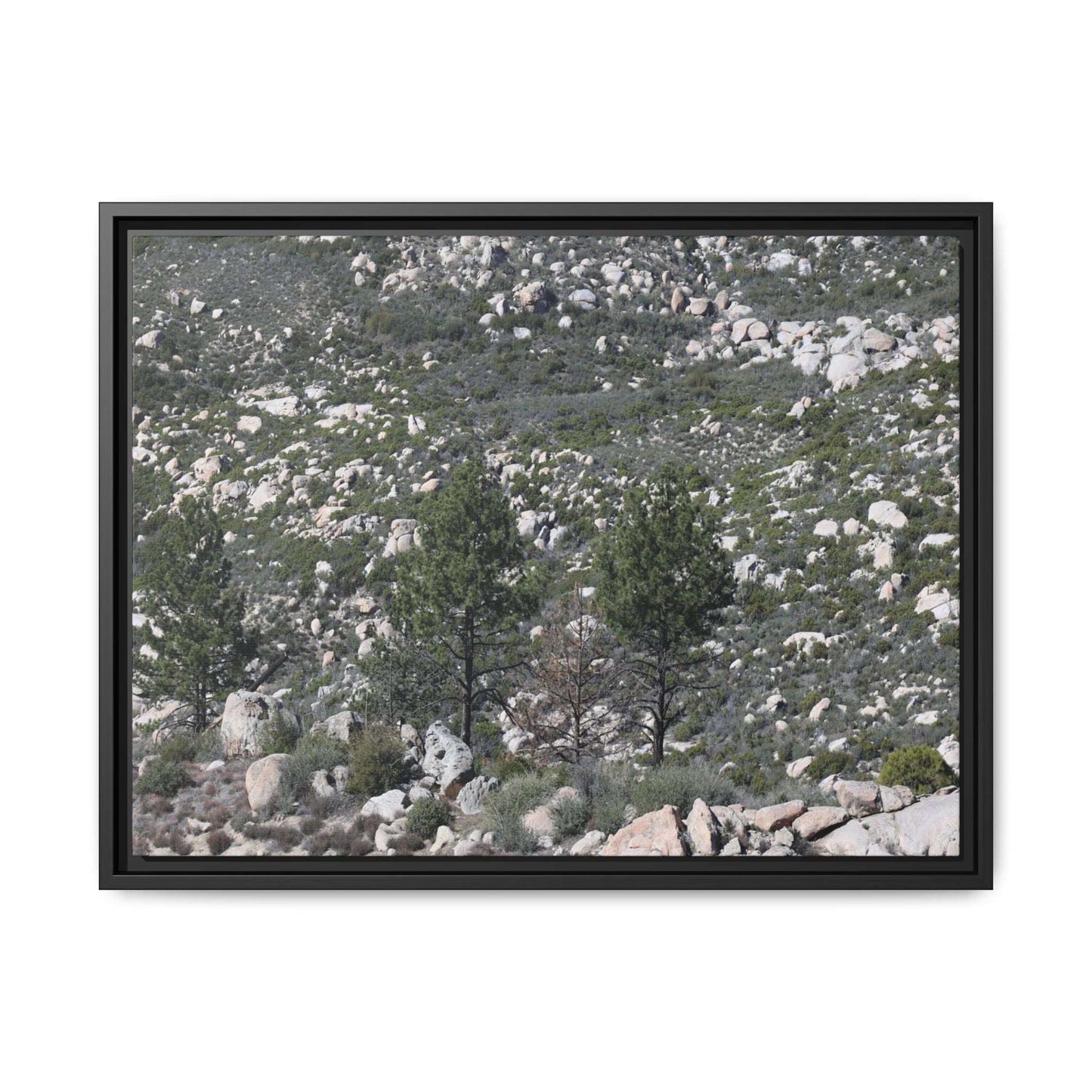 Rocky Hillside with Pine Trees - Unique Stretched Canvas Wall Art - Art By Earth
