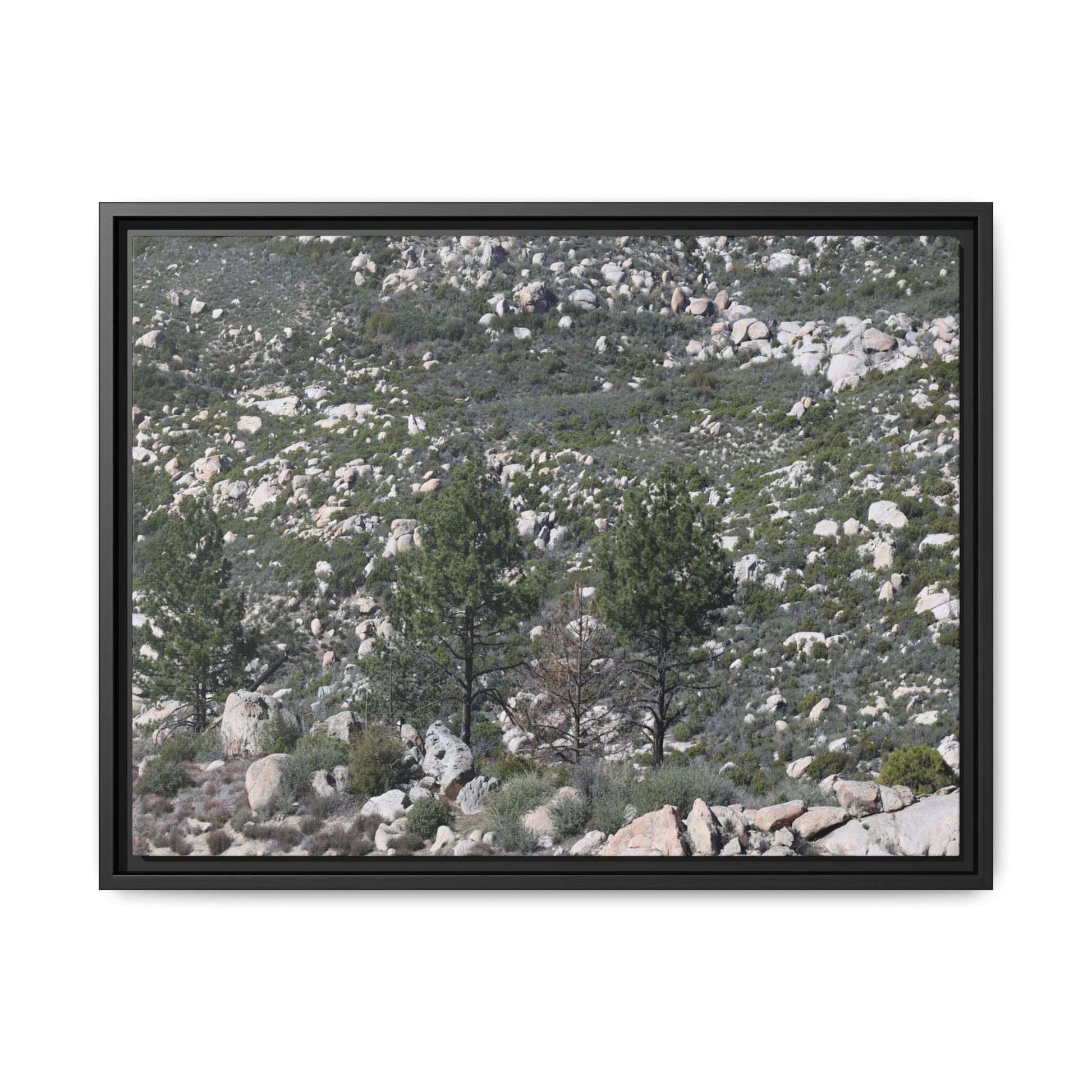 Rocky Hillside with Pine Trees - Unique Stretched Canvas Wall Art - Art By Earth