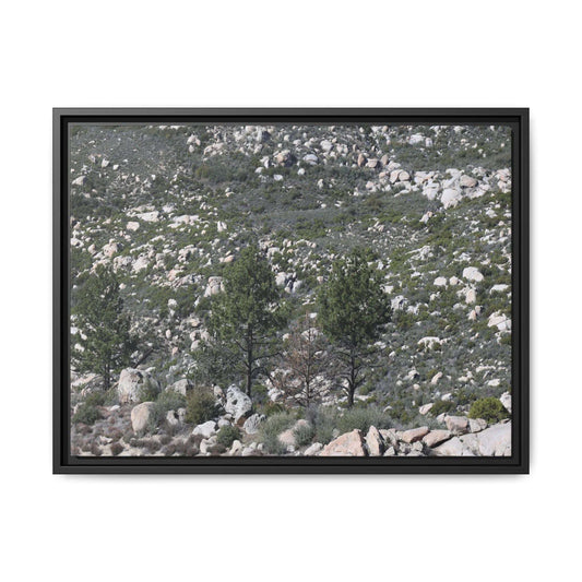 Rocky Hillside with Pine Trees - Unique Stretched Canvas Wall Art - Art By Earth