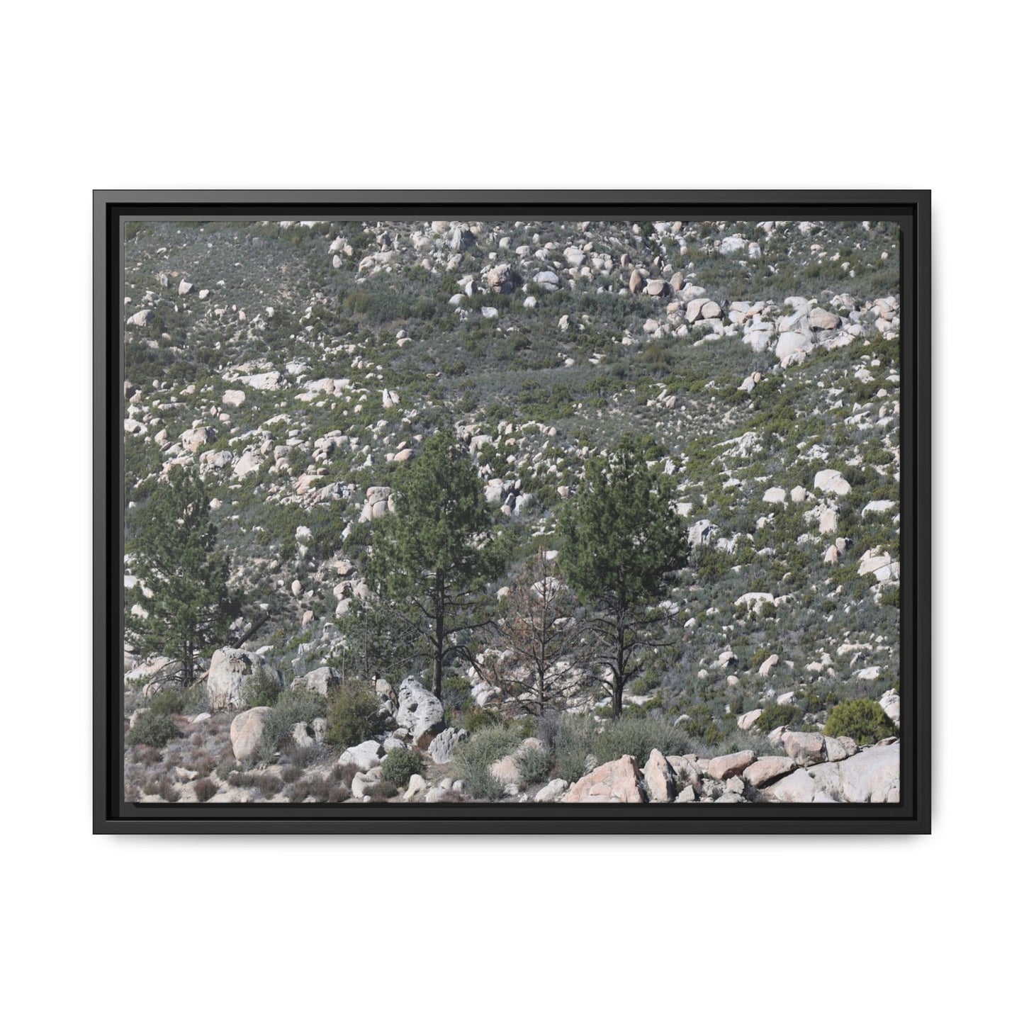 Rocky Hillside with Pine Trees - Unique Stretched Canvas Wall Art - Art By Earth