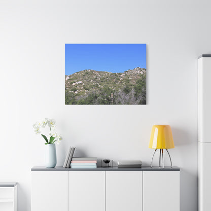 Rocky Hills with Desert Vegetation - Unique Frameless Canvas Wall Art