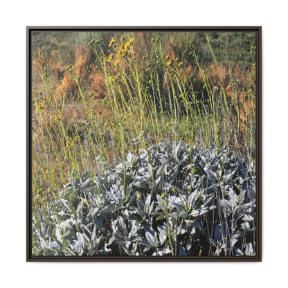 Arid Landscape with Yellow Flowers - Unique Stretched Canvas Wall Art - Art By Earth
