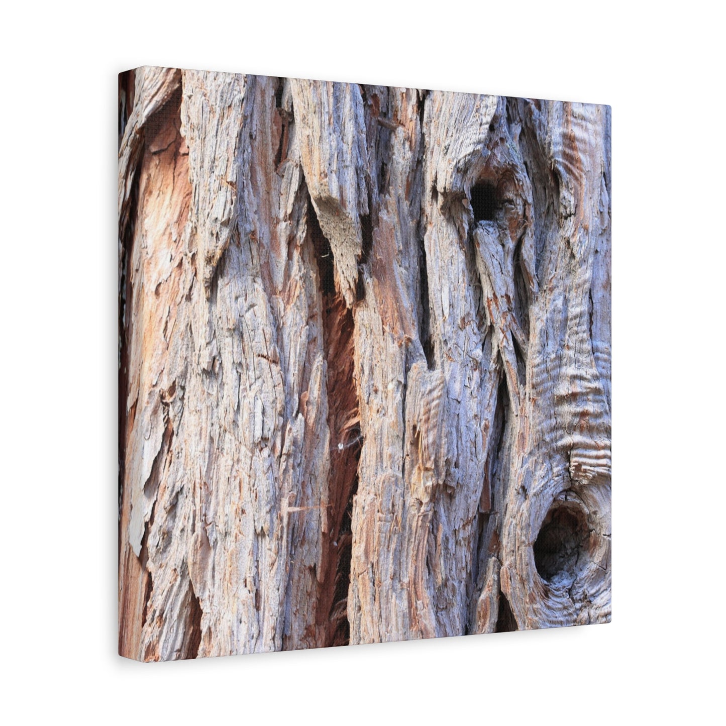 Aged Bark Surface - Unique Frameless Canvas Wall Art - Art By Earth