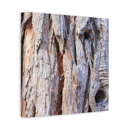 Aged Bark Surface - Unique Frameless Canvas Wall Art - Art By Earth
