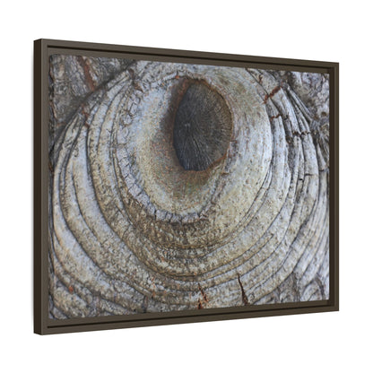 Echoes of Time - Unique Stretched Canvas Wall Art - Art By Earth