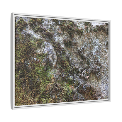 Mossy Whispers - Unique Stretched Canvas Wall Art - Art By Earth