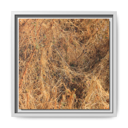 Dried Vegetation Study - Unique Stretched Canvas Wall Art - Art By Earth