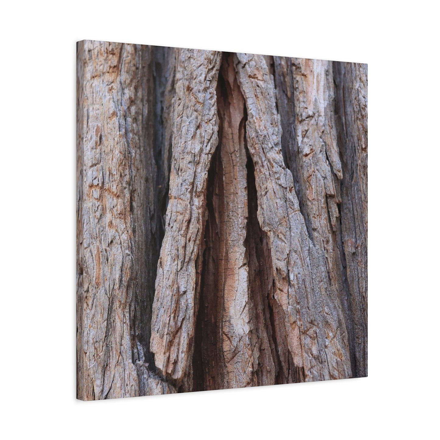 Fractured Skin of Time - Unique Frameless Canvas Wall Art - Art By Earth