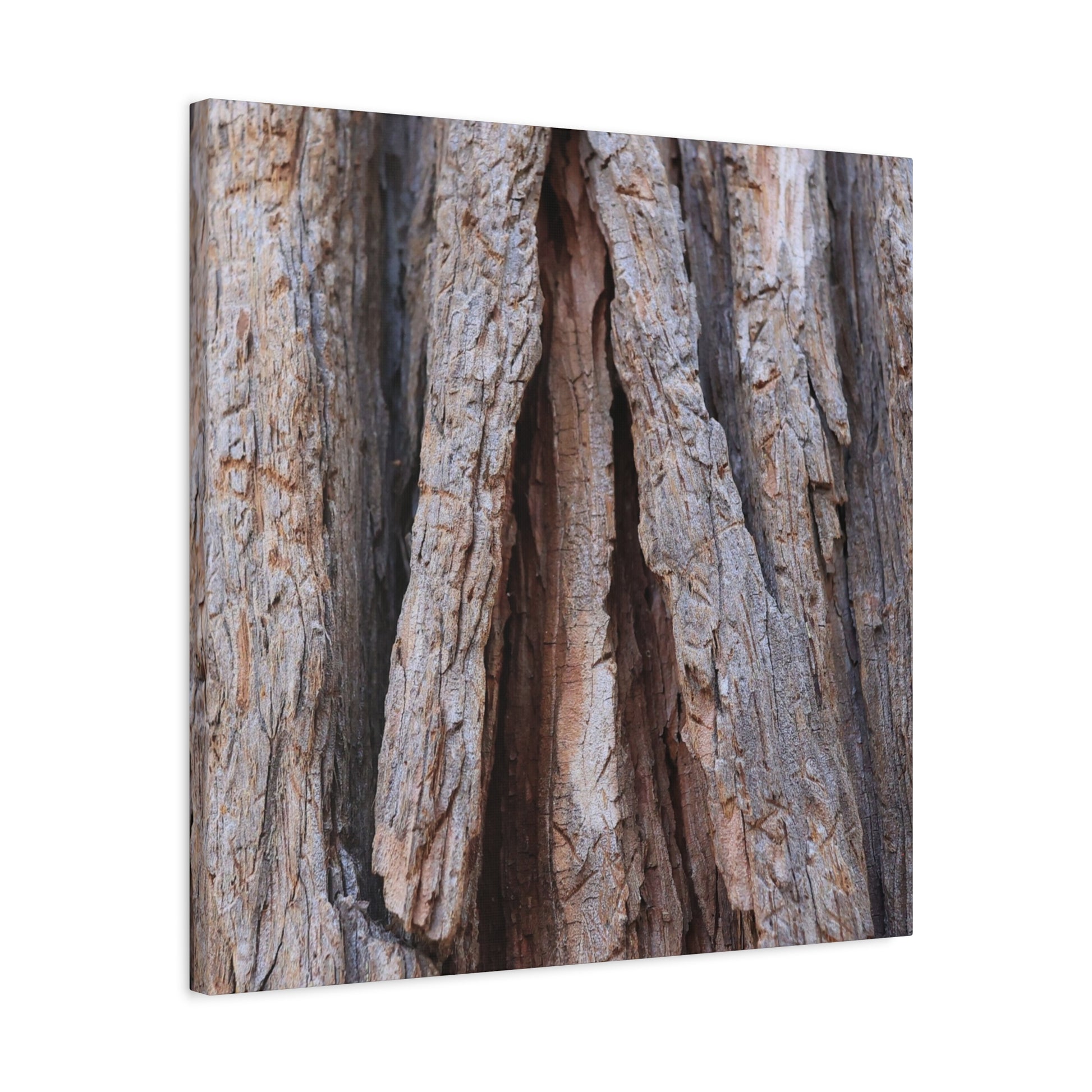 Fractured Skin of Time - Unique Frameless Canvas Wall Art - Art By Earth