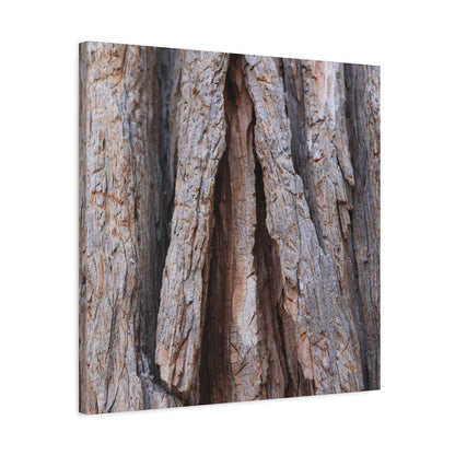 Fractured Skin of Time - Unique Frameless Canvas Wall Art - Art By Earth