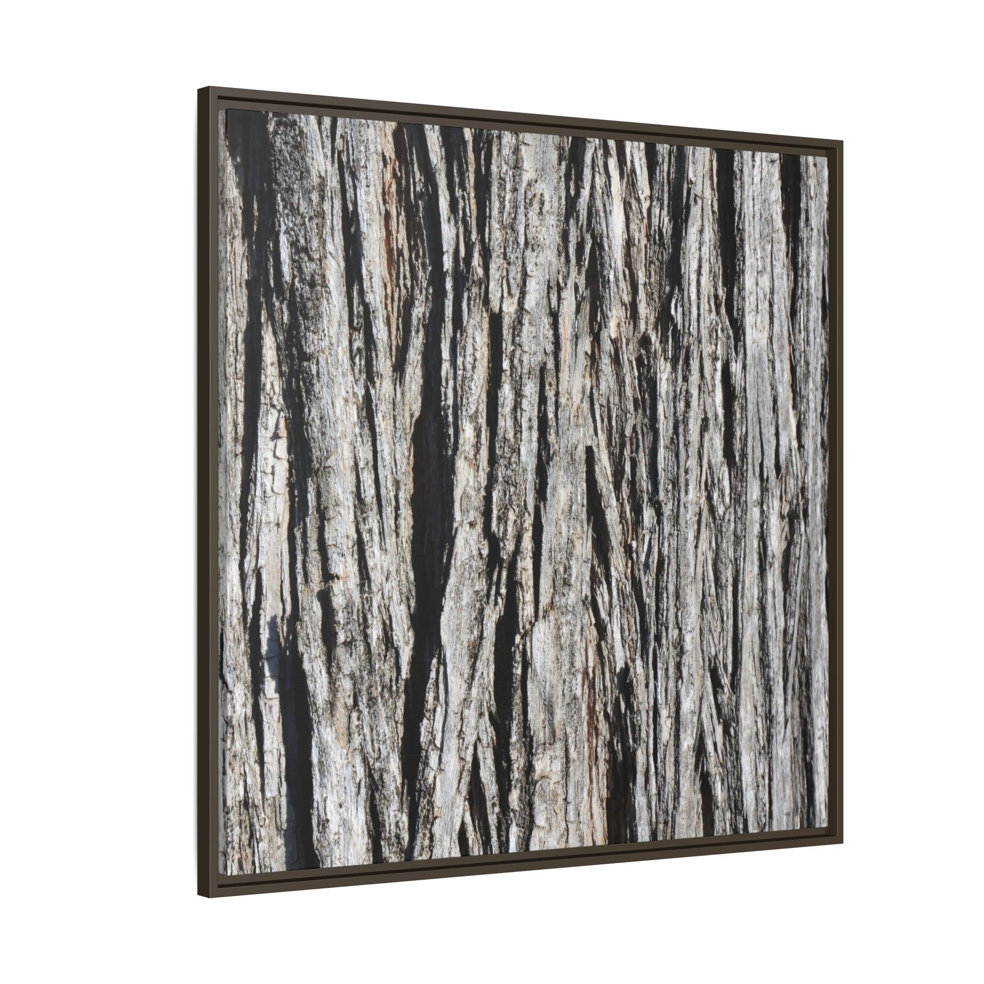 Nature's Abstract - Unique Stretched Canvas Wall Art - Art By Earth