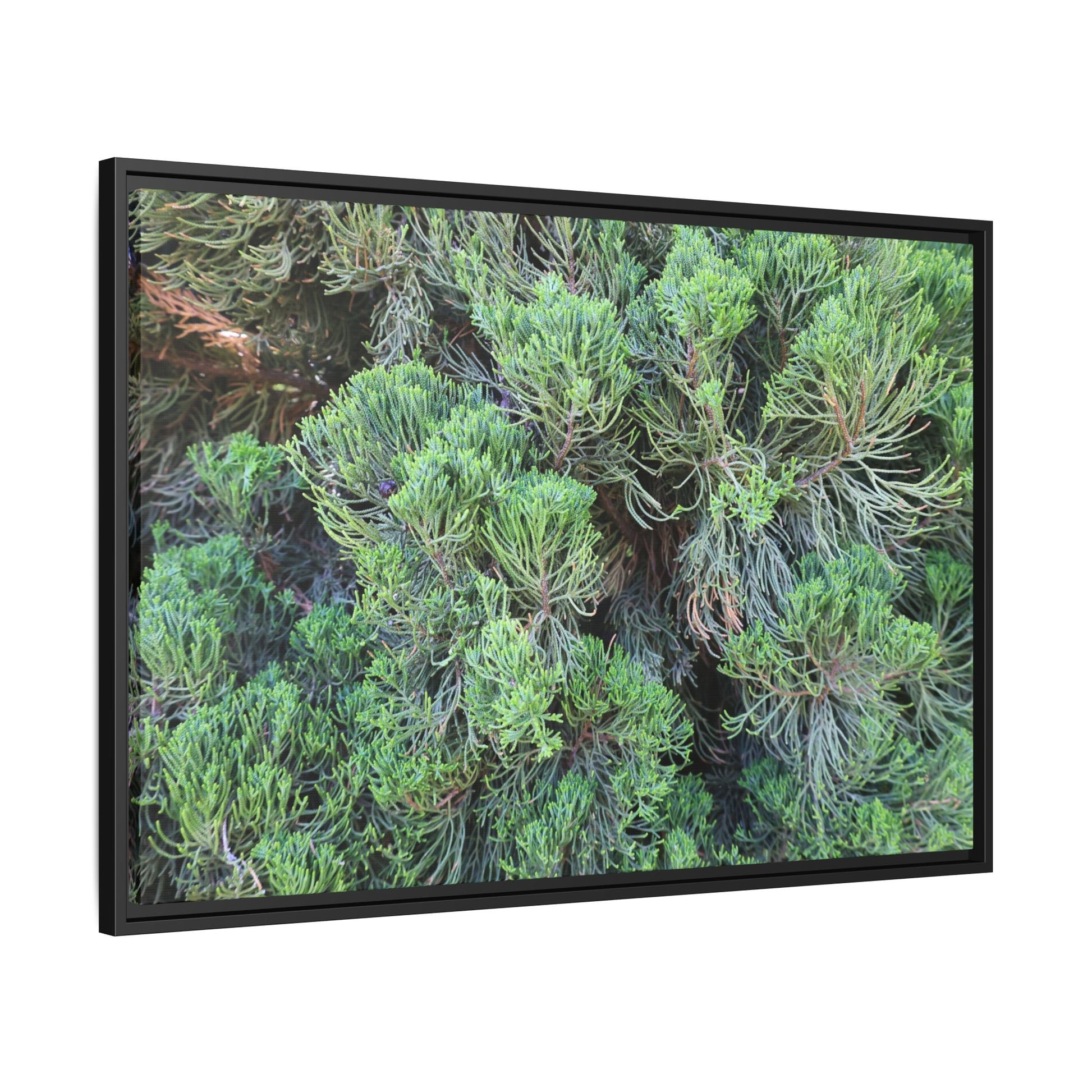 Verdant Whispers - Unique Stretched Canvas Wall Art - Art By Earth
