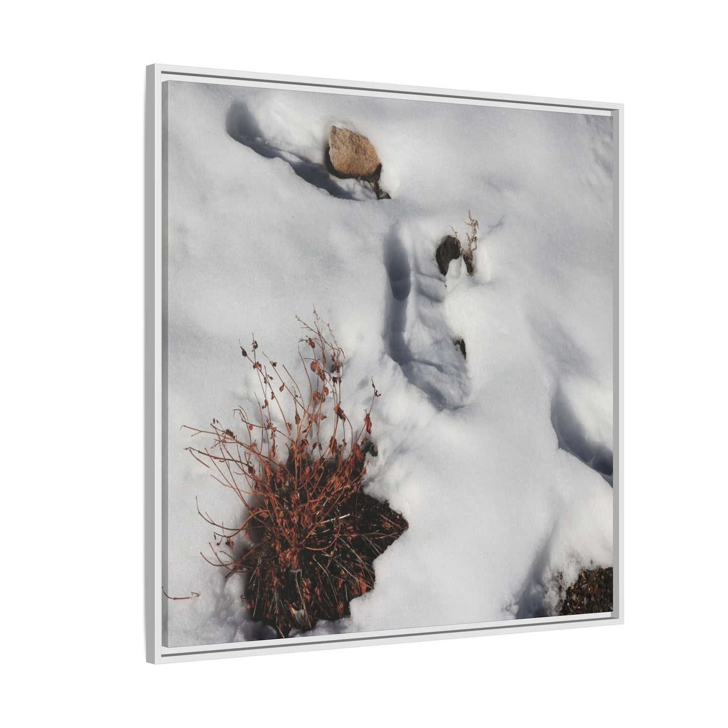 Frostbound Whispers - Unique Stretched Canvas Wall Art